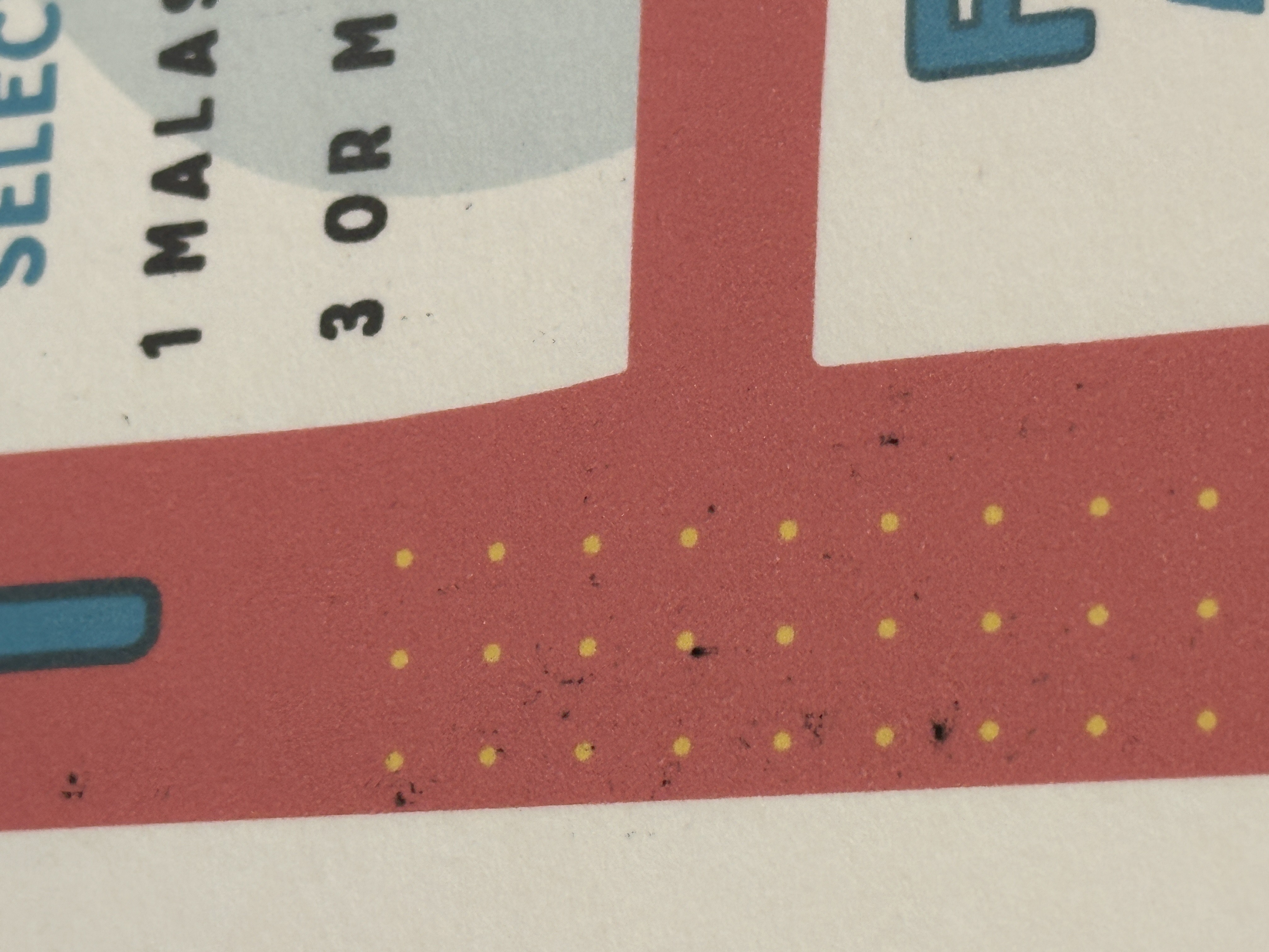 Epson SureColor Terrible Quality Prints