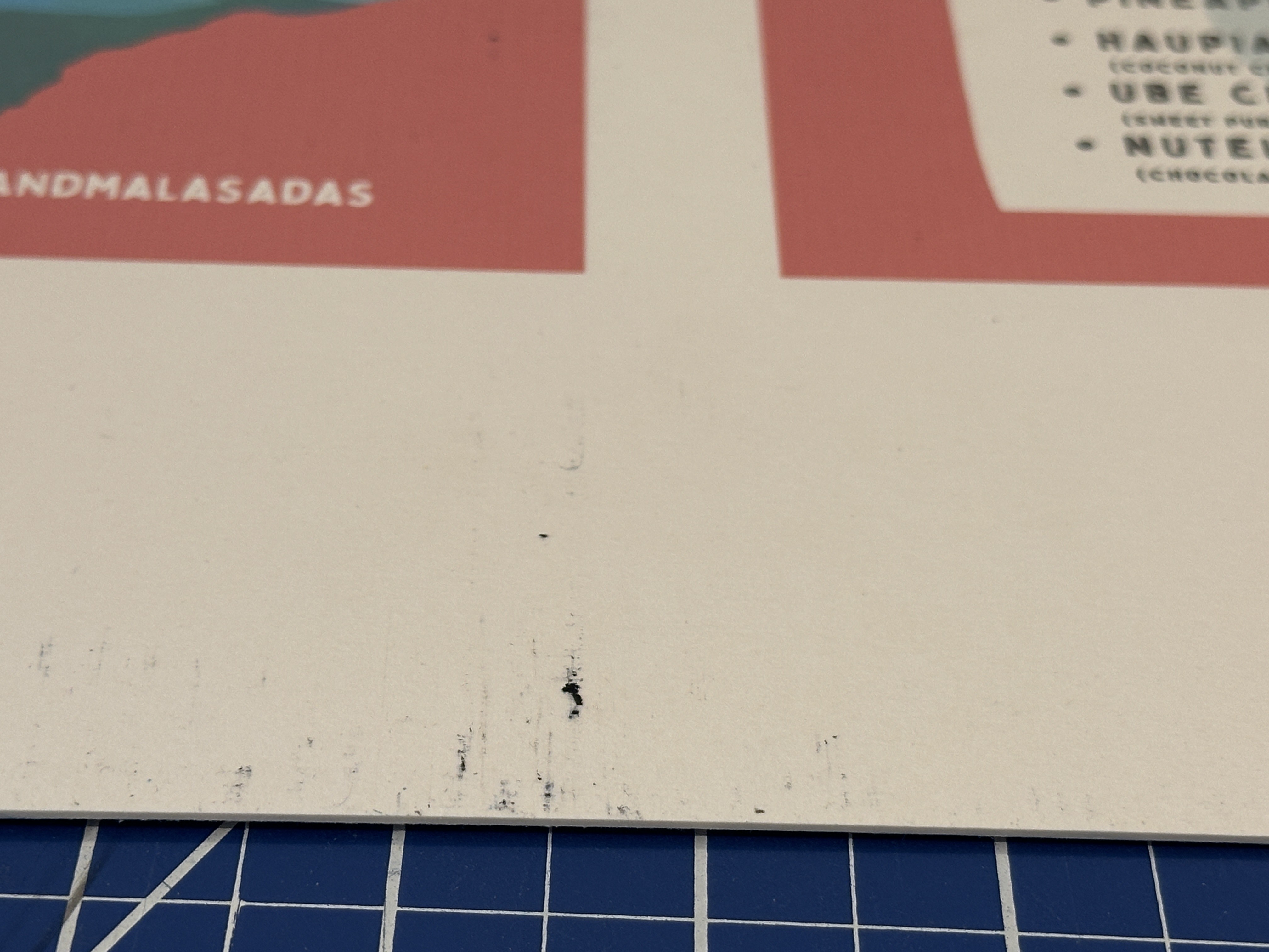 Epson SureColor Terrible Quality Prints 2